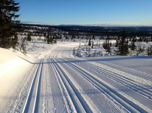 Centrally Located Cottage At Sjusjoen Ski Center Exterior photo