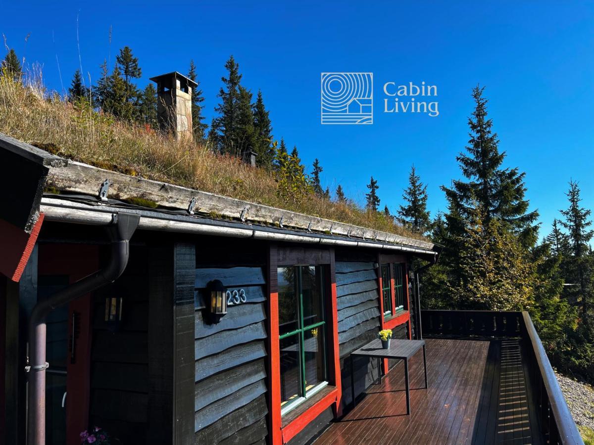 Centrally Located Cottage At Sjusjoen Ski Center Exterior photo